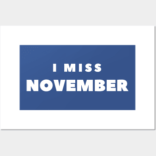 I MISS NOVEMBER Posters and Art